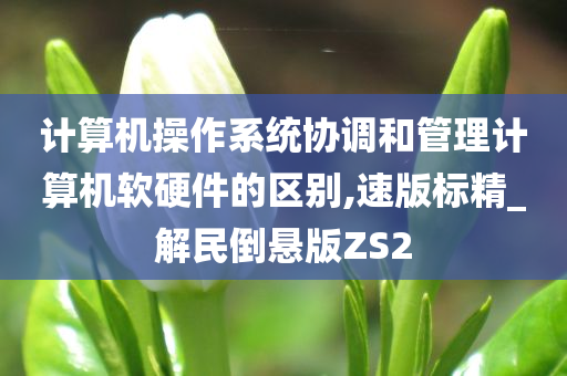 计算机操作系统协调和管理计算机软硬件的区别,速版标精_解民倒悬版ZS2