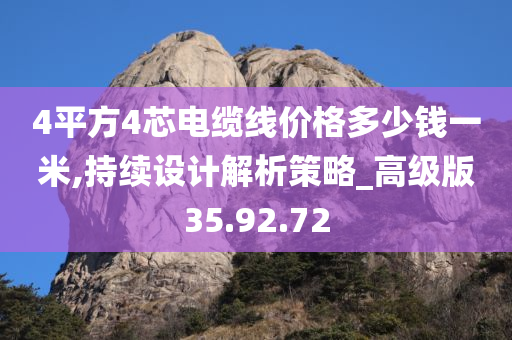 4平方4芯电缆线价格多少钱一米,持续设计解析策略_高级版35.92.72