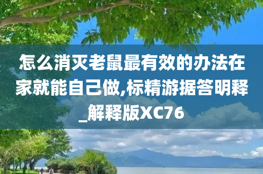 怎么消灭老鼠最有效的办法在家就能自己做,标精游据答明释_解释版XC76