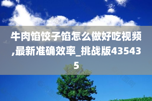 牛肉馅饺子馅怎么做好吃视频,最新准确效率_挑战版435435