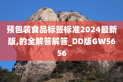 预包装食品标签标准2024最新版,的全解答解答_DD版GW5656