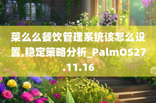 菜么么餐饮管理系统该怎么设置,稳定策略分析_PalmOS27.11.16