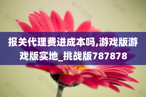 报关代理费进成本吗,游戏版游戏版实地_挑战版787878