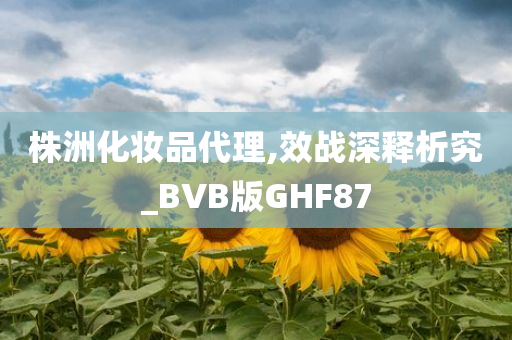 株洲化妆品代理,效战深释析究_BVB版GHF87