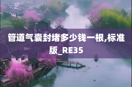 管道气囊封堵多少钱一根,标准版_RE35