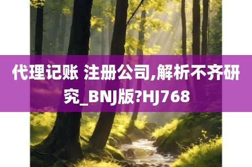 代理记账 注册公司,解析不齐研究_BNJ版?HJ768