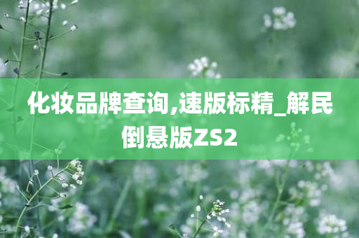 化妆品牌查询,速版标精_解民倒悬版ZS2