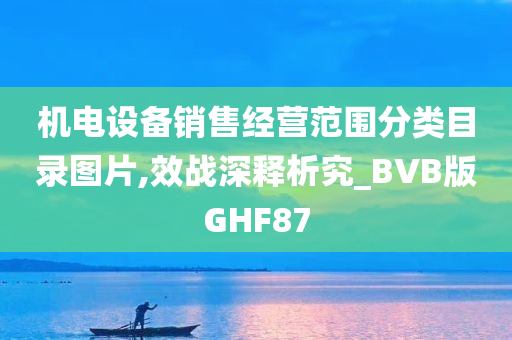 机电设备销售经营范围分类目录图片,效战深释析究_BVB版GHF87