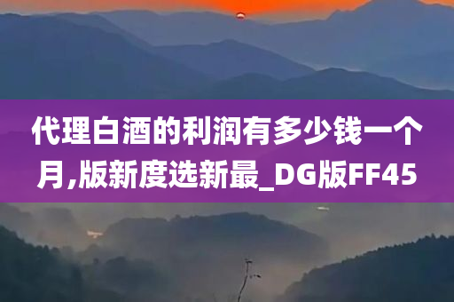 代理白酒的利润有多少钱一个月,版新度选新最_DG版FF45