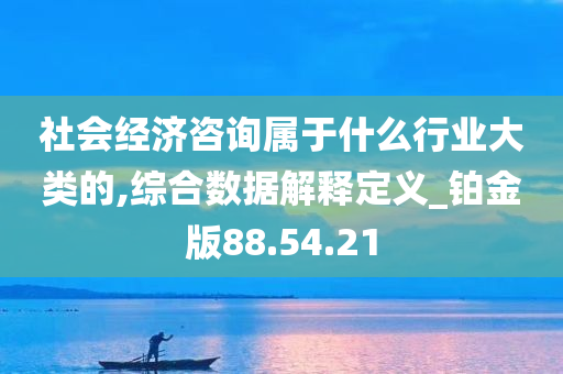 社会经济咨询属于什么行业大类的,综合数据解释定义_铂金版88.54.21