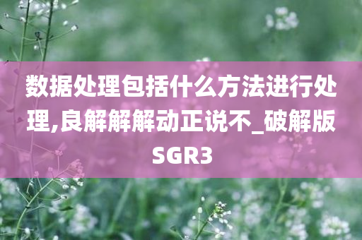 数据处理包括什么方法进行处理,良解解解动正说不_破解版SGR3