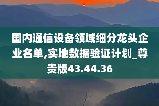 国内通信设备领域细分龙头企业名单,实地数据验证计划_尊贵版43.44.36