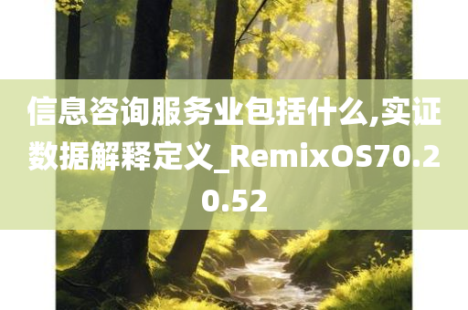 信息咨询服务业包括什么,实证数据解释定义_RemixOS70.20.52