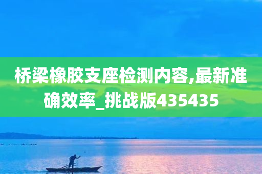 桥梁橡胶支座检测内容,最新准确效率_挑战版435435