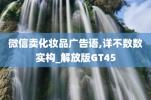 微信卖化妆品广告语,详不数数实构_解放版GT45