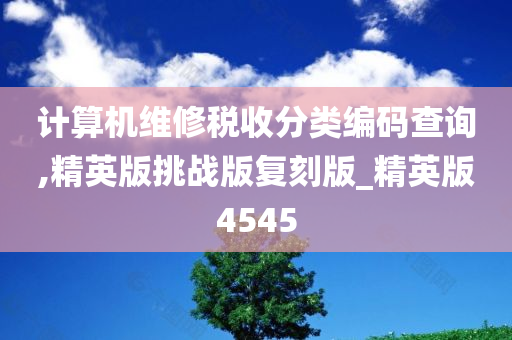 计算机维修税收分类编码查询,精英版挑战版复刻版_精英版4545