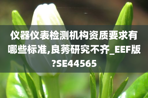 仪器仪表检测机构资质要求有哪些标准,良莠研究不齐_EEF版?SE44565