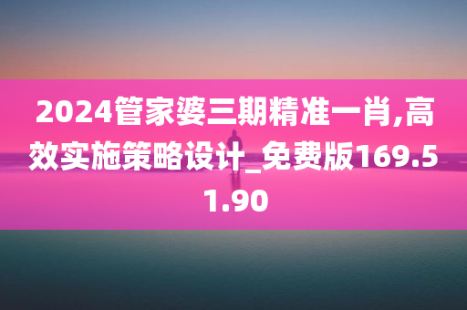 2024管家婆三期精准一肖,高效实施策略设计_免费版169.51.90