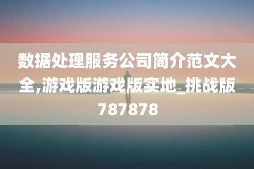 数据处理服务公司简介范文大全,游戏版游戏版实地_挑战版787878