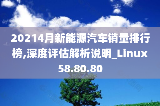 20214月新能源汽车销量排行榜,深度评估解析说明_Linux58.80.80