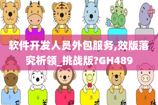 软件开发人员外包服务,效版落究析领_挑战版?GH489