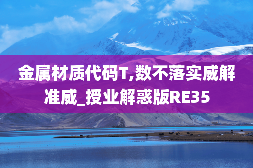 金属材质代码T,数不落实威解准威_授业解惑版RE35