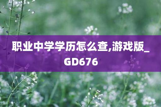 职业中学学历怎么查,游戏版_GD676