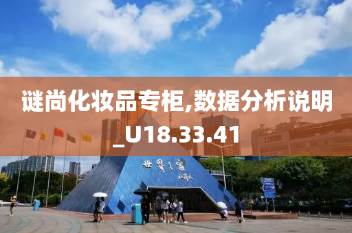 谜尚化妆品专柜,数据分析说明_U18.33.41