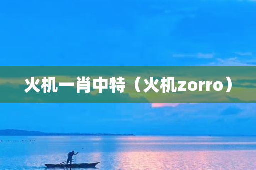 火机一肖中特（火机zorro）