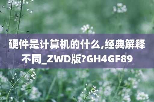 硬件是计算机的什么,经典解释不同_ZWD版?GH4GF89