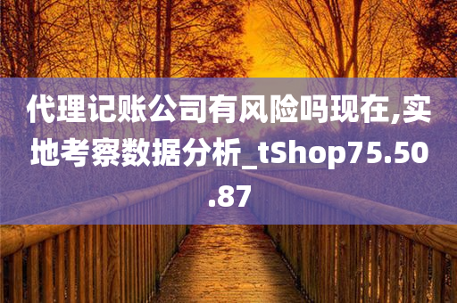 代理记账公司有风险吗现在,实地考察数据分析_tShop75.50.87