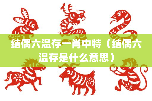 结偶六温存一肖中特（结偶六温存是什么意思）