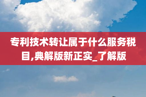 专利技术转让属于什么服务税目,典解版新正实_了解版