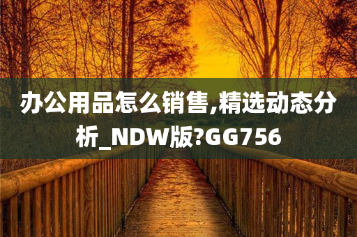 办公用品怎么销售,精选动态分析_NDW版?GG756