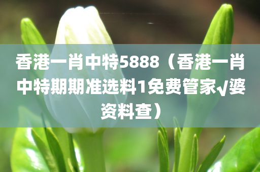 香港一肖中特5888（香港一肖中特期期准选料1免费管家√婆资料查）