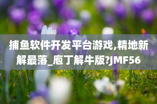 捕鱼软件开发平台游戏,精地新解最落_庖丁解牛版?JMF56