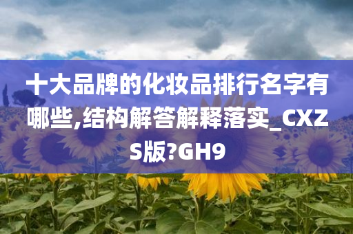 十大品牌的化妆品排行名字有哪些,结构解答解释落实_CXZS版?GH9