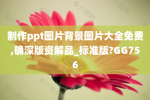 制作ppt图片背景图片大全免费,确深版资解品_标准版?GG756