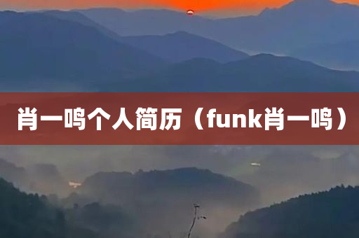 肖一鸣个人简历（funk肖一鸣）