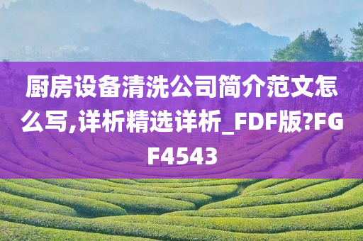 厨房设备清洗公司简介范文怎么写,详析精选详析_FDF版?FGF4543