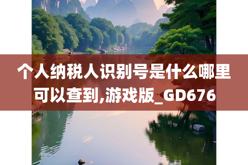 个人纳税人识别号是什么哪里可以查到,游戏版_GD676