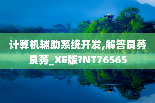 计算机辅助系统开发,解答良莠良莠_XE版?NT76565