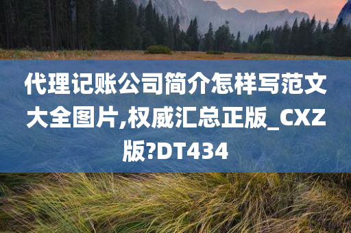 代理记账公司简介怎样写范文大全图片,权威汇总正版_CXZ版?DT434