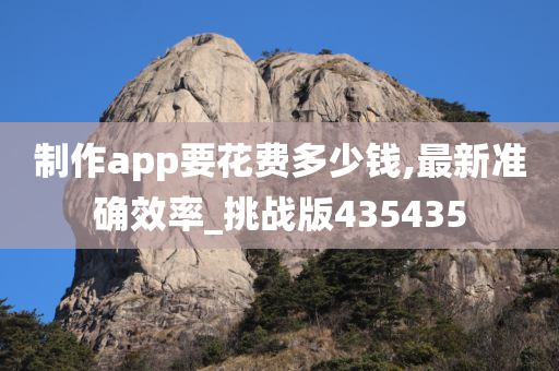 制作app要花费多少钱,最新准确效率_挑战版435435