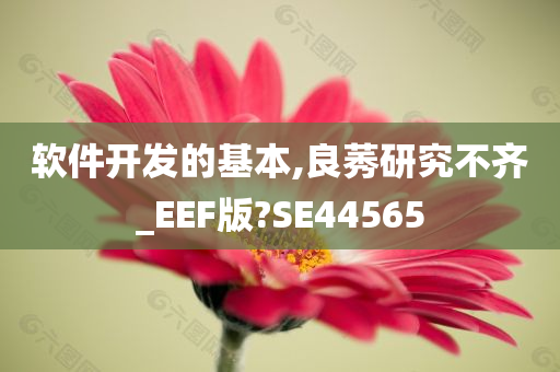 软件开发的基本,良莠研究不齐_EEF版?SE44565