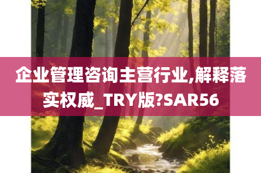 企业管理咨询主营行业,解释落实权威_TRY版?SAR56