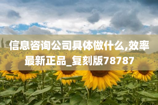 信息咨询公司具体做什么,效率最新正品_复刻版78787