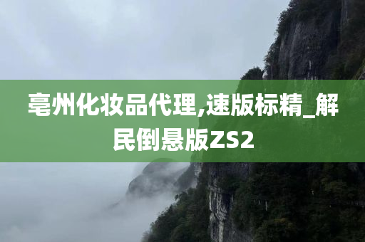 亳州化妆品代理,速版标精_解民倒悬版ZS2