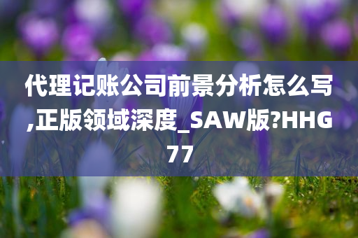 代理记账公司前景分析怎么写,正版领域深度_SAW版?HHG77