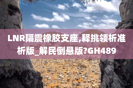 LNR隔震橡胶支座,释挑领析准析版_解民倒悬版?GH489